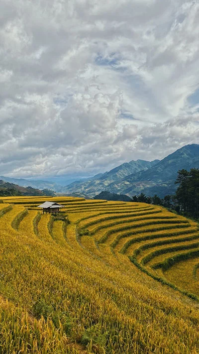 Vacation in Vietnam - Timeless Charm