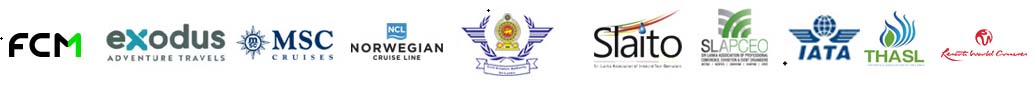 Company name – official partner